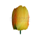 Г383 Голова тюльпана (атлас) с пенопластом h=8см