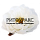 Г11592 Голова крупного пиона "Граф"d=14 см (по 10) Г11592 Голова крупного пиона "Граф"d=14 см (по 10)