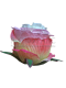 Г0115 Бутон розы "Эквадор" малый h=8,5см (по 50)