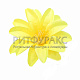 Г0116 Голова георгина d=11см (по 50)