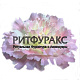 Г87 Гвоздика Аврора (цветок ритуальный) (50) Г87 Гвоздика Аврора (цветок ритуальный) (50)
