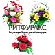 Композиция Буффи Композиция Буффи